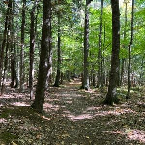 Meet your Posher, Debra